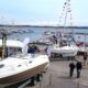Förra årets Båt och hav i Lysekil bjöd på sol, båtar och en start på säsongen för flytande båtmässor.
